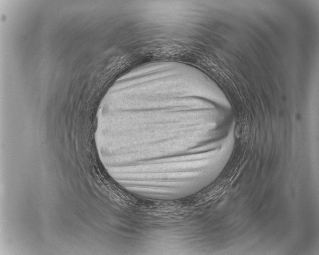 X0000059221153200511041208