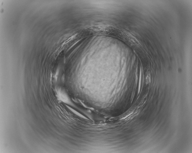 X0000059221156200511041208