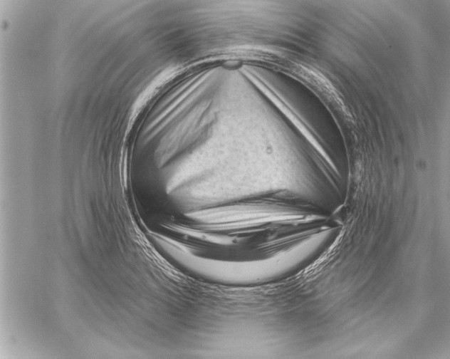 X0000059221180200511041208