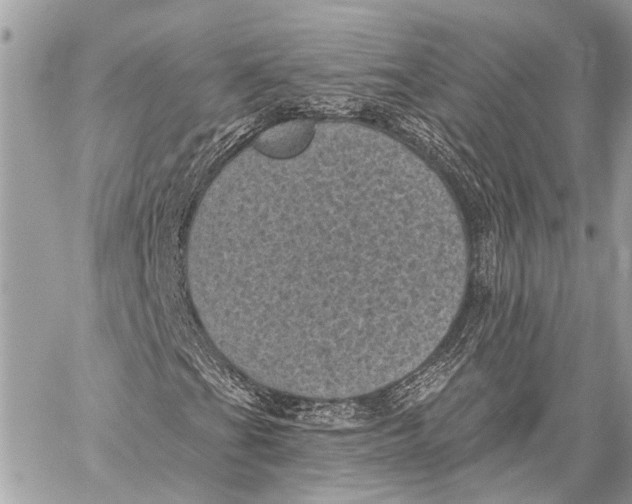 X0000059221201200511041206