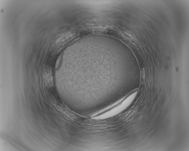 X0000059221252200511041206