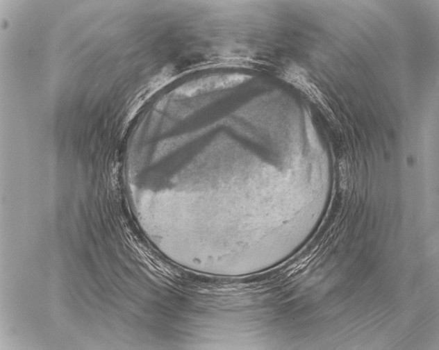 X0000059221260200511041206