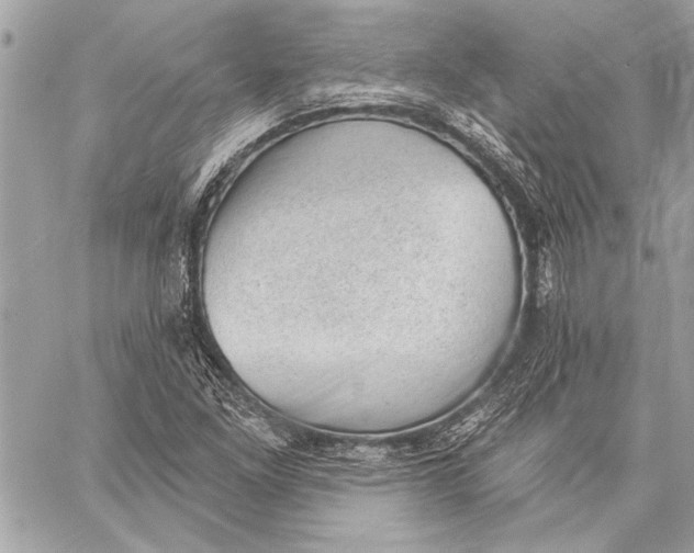 X0000059221261200511041206