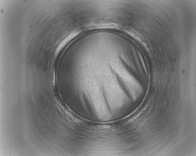 X0000059221317200511041205