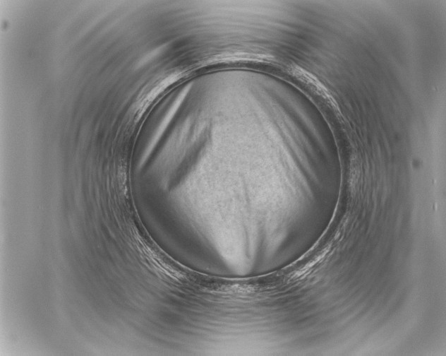X0000059221321200511041205