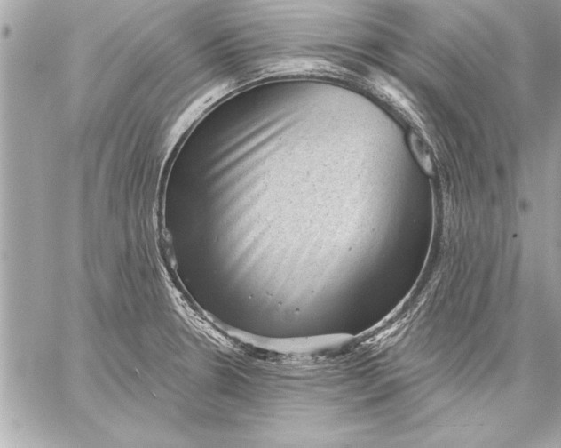 X0000059221330200511041205