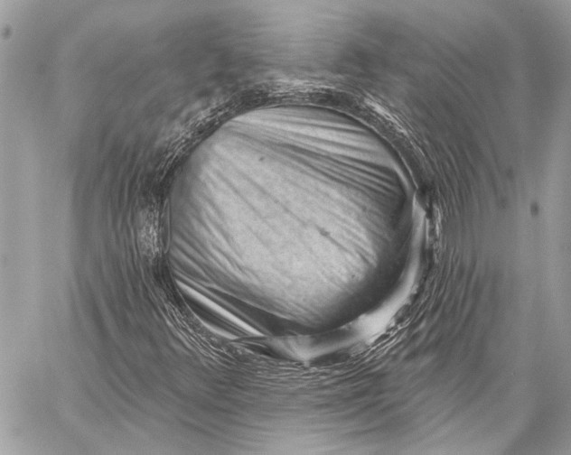 X0000059221348200511041205