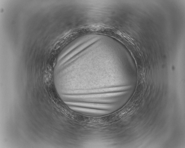X0000059221349200511041205