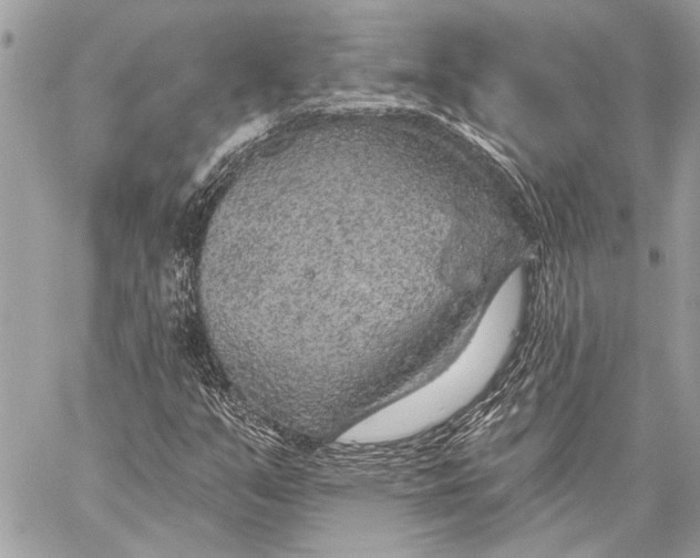 X0000059221351200511041205