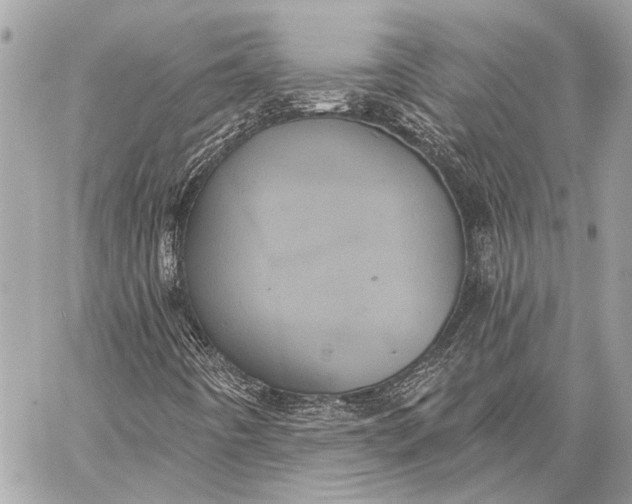 X0000059221442200511041203