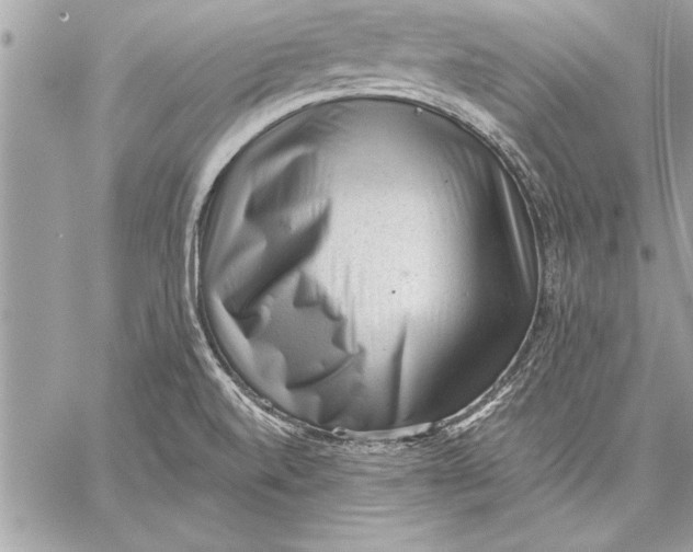 X0000059221520200511041202
