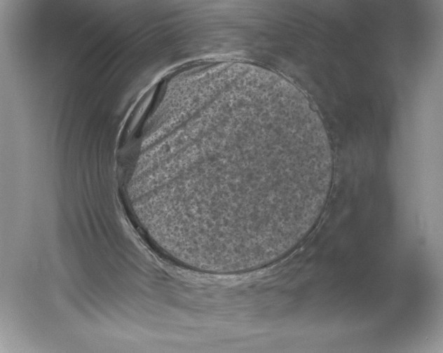 X0000059220002200511111534