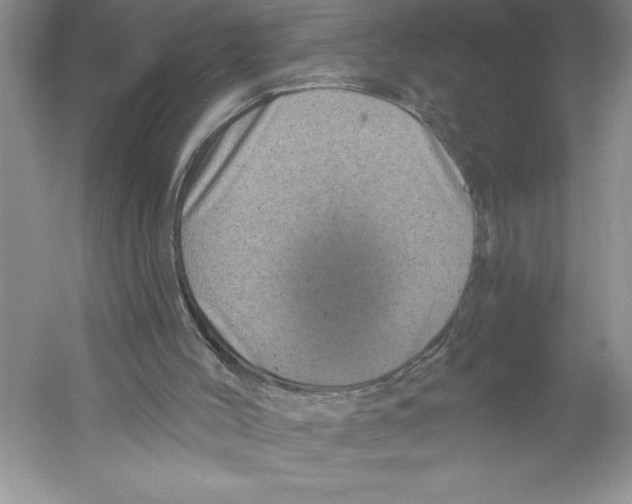 X0000059220004200511111534