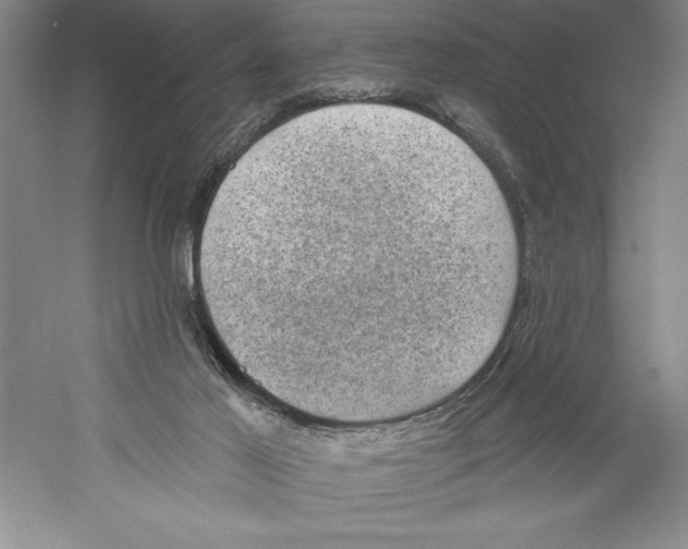 X0000059220021200511111534