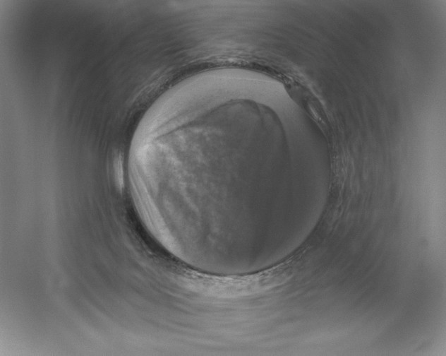 X0000059220027200511111534