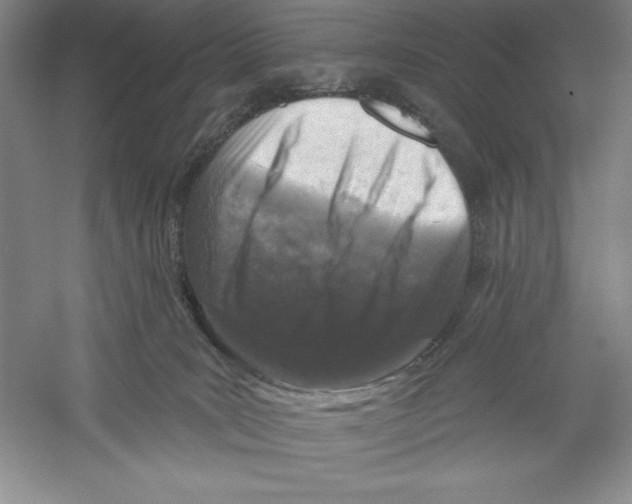 X0000059220035200511111533