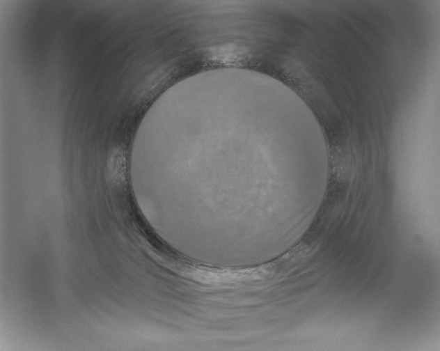 X0000059220036200511111533