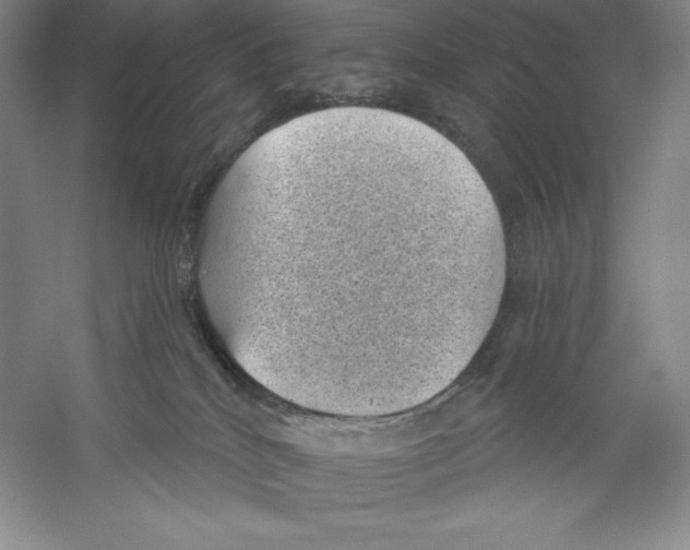 X0000059220040200511111533