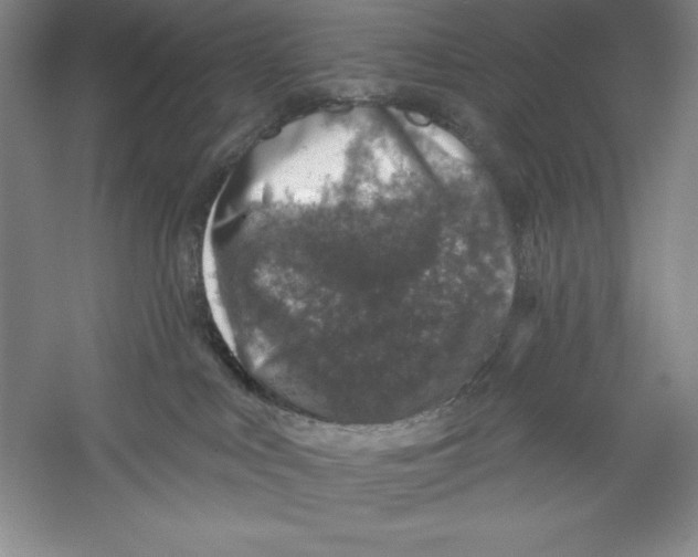 X0000059220043200511111533