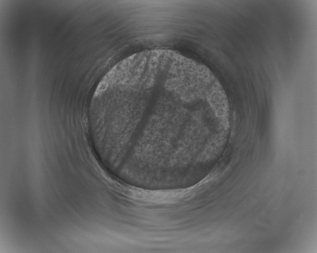 X0000059220048200511111533