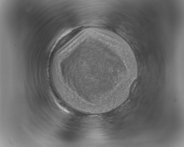 X0000059220050200511111532