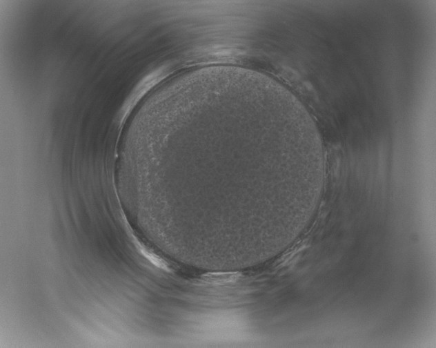 X0000059220051200511111532