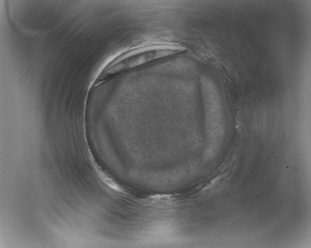 X0000059220052200511111532