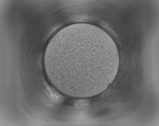 X0000059220058200511111533