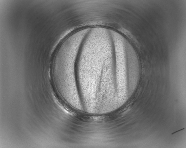 X0000059220060200511111533