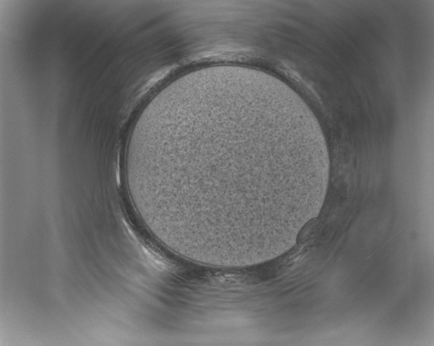 X0000059220062200511111533