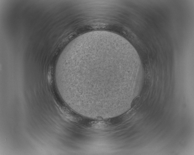 X0000059220074200511111533