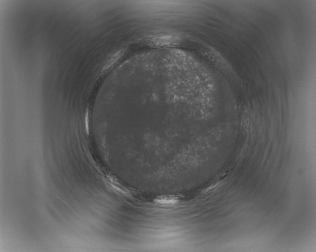 X0000059220076200511111533