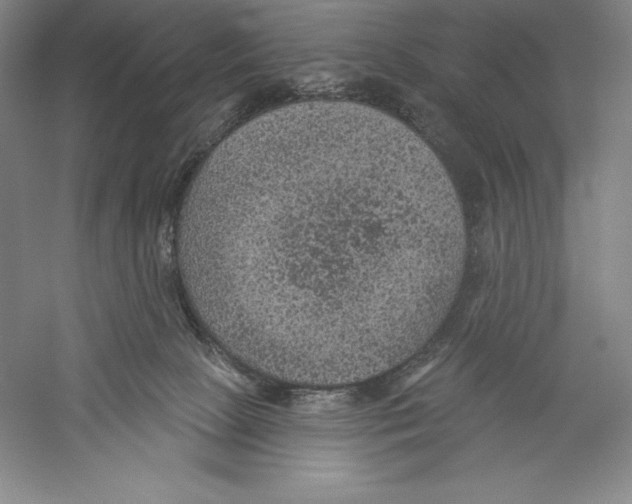 X0000059220081200511111533
