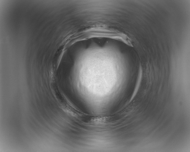 X0000059220084200511111533