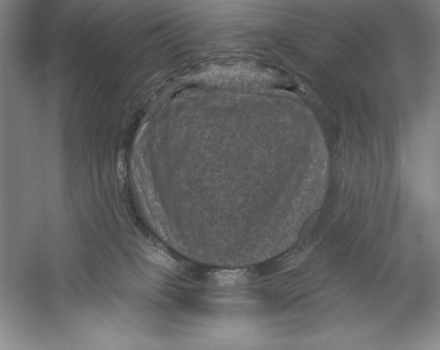 X0000059220085200511111533