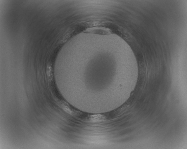 X0000059220087200511111533