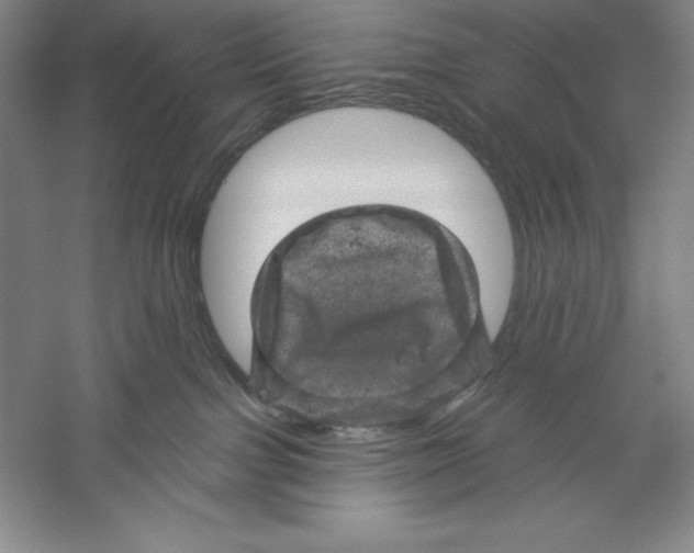 X0000059220091200511111533