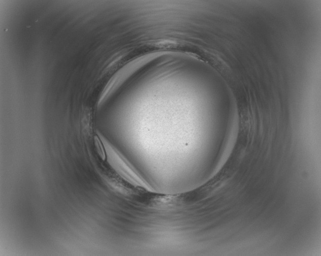 X0000059220092200511111533