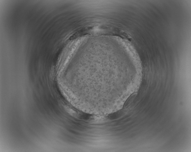 X0000059220093200511111533