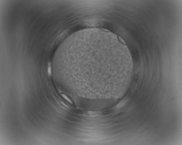 X0000059220095200511111533