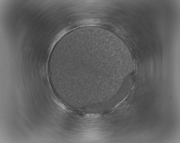 X0000059220099200511111532