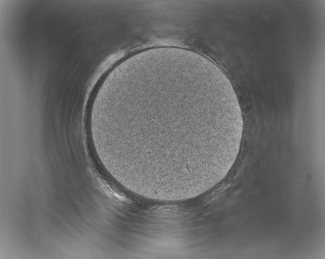 X0000059220104200511111532