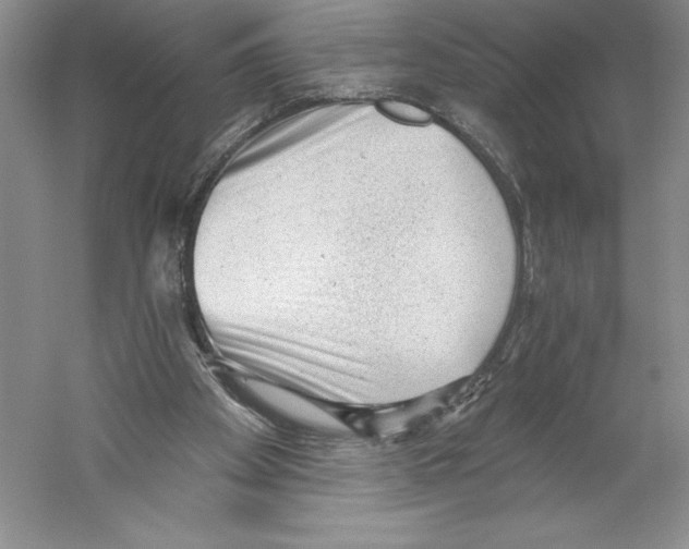 X0000059220105200511111532