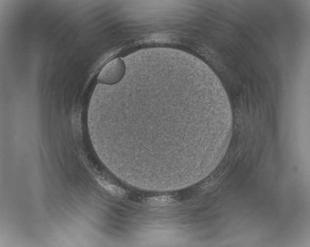 X0000059220112200511111532