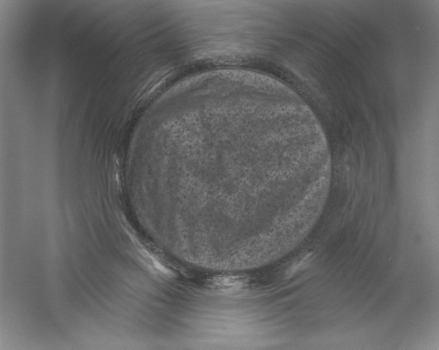 X0000059220117200511111532