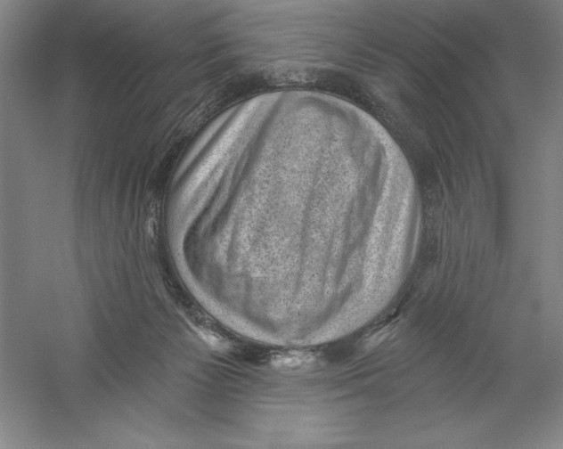 X0000059220125200511111532