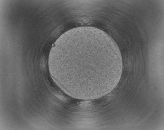 X0000059220132200511111532