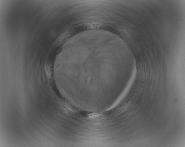X0000059220139200511111532