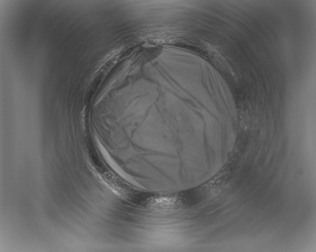 X0000059220163200511111531
