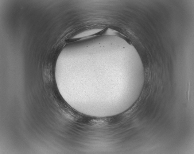 X0000059220170200511111531